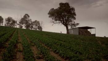 Screenshot 1 from Cliffy (Full Movie)