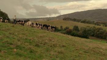Screenshot 3 from Cliffy (Full Movie)