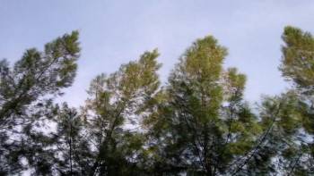 Screenshot 2 from Cold Fusion (Full Movie)