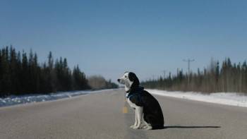 Screenshot 3 from Cold Road (Full Movie)