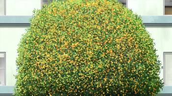 Screenshot 1 from Colorful (Full Movie)
