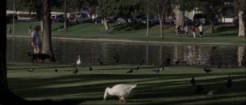 Screenshot 3 from Columbus Day (Full Movie)