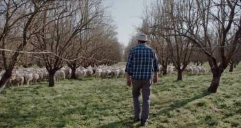 Screenshot 1 from Common Ground (Full Movie)