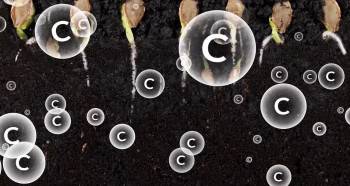 Screenshot 2 from Common Ground (Full Movie)