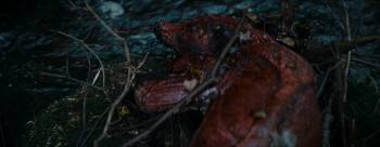 Screenshot 3 from Consumed (Full Movie)