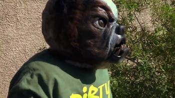 Screenshot 3 from Cool Cat vs Dirty Dog: The Virus Wars (Full Movie)