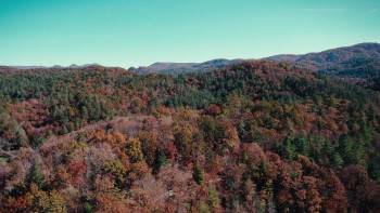 Screenshot 1 from County Line: No Fear (Full Movie)
