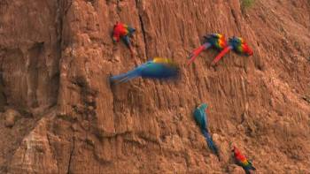Screenshot 3 from Crazy Creatures (Full Movie)