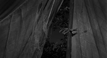 Screenshot 2 from Creature from the Black Lagoon (Full Movie)