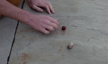 Screenshot 2 from Crimes of the Future (Full Movie)