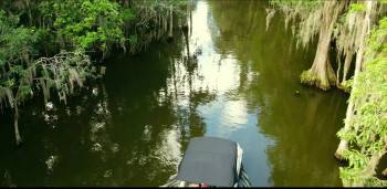 Screenshot 1 from Crocodylus: Mating Season (Full Movie)