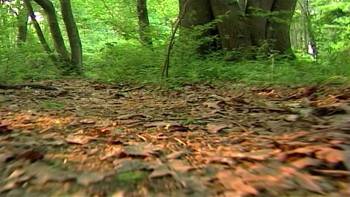 Screenshot 3 from Cropsey (Full Movie)