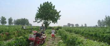 Screenshot 3 from Crossing the Border - Zhaoguan (Full Movie)