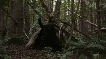 Screenshot 2 from Crown of Shadows (Full Movie)