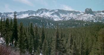 Screenshot 1 from Cry Wilderness (Full Movie)
