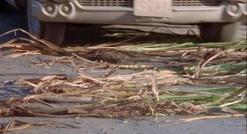 Screenshot 2 from Cuba (Full Movie)