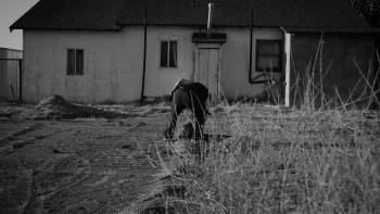 Screenshot 1 from Daisy (Full Movie)