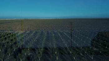Screenshot 2 from Daisy (Full Movie)