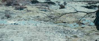 Screenshot 1 from Damsel (Full Movie)