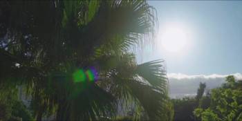 Screenshot 2 from Danger Bucks (Full Movie)
