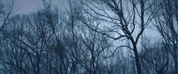 Screenshot 1 from Dark Was the Night (Full Movie)