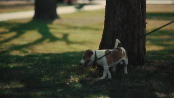 Screenshot 2 from Darkest Miriam (Full Movie)