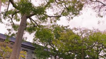Screenshot 1 from Dating to Kill (Full Movie)