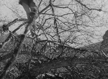 Screenshot 3 from Daughter of the Jungle (Full Movie)