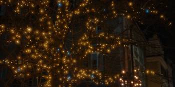Screenshot 1 from David and the Elves (Full Movie)