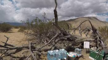 Screenshot 3 from Days on PCT (Full Movie)