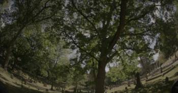 Screenshot 3 from Dead Hot: Season of the Witch (Full Movie)