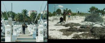Screenshot 1 from Dead Ringer (Full Movie)