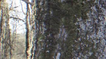 Screenshot 1 from Deadly Culture: Final Mutation (Full Movie)