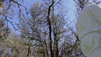 Screenshot 2 from Deadly Culture: Final Mutation (Full Movie)