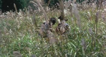 Screenshot 1 from Death of a Ninja (Full Movie)
