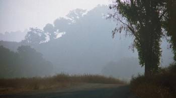 Screenshot 2 from Death Ring (Full Movie)
