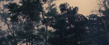 Screenshot 1 from Death Whisperer (Full Movie)