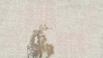 Screenshot 3 from Decoding Turner (Full Movie)