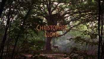 Screenshot 1 from Dennis the Menace (Full Movie)