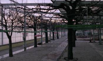 Screenshot 2 from Der Kandidat (Full Movie)