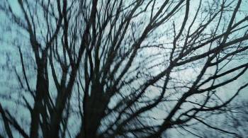 Screenshot 1 from Der namenlose Tag (Full Movie)