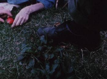 Screenshot 2 from Diaries Notes and Sketches (Full Movie)