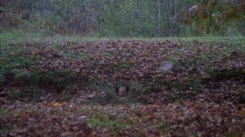 Screenshot 1 from Digging to China (Full Movie)