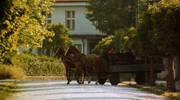 Screenshot 1 from Divided We Fall (Full Movie)