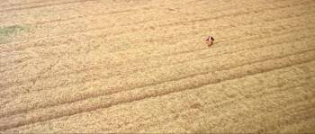 Screenshot 3 from Dog Day (Full Movie)