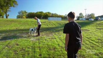 Screenshot 2 from Dogs of the Year 2022 (Full Movie)