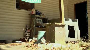 Screenshot 3 from Dogs on the Inside (Full Movie)