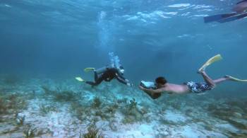 Screenshot 3 from Dolphin Kick (Full Movie)