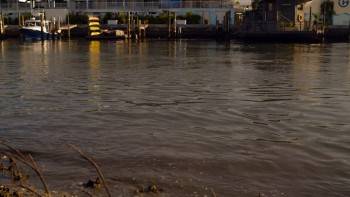 Screenshot 2 from Dolphin Tale 2 (Full Movie)