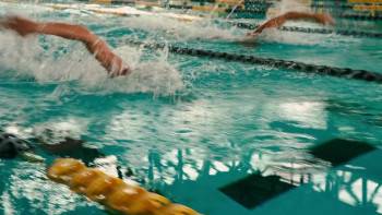 Screenshot 3 from Dolphin Tale (Full Movie)